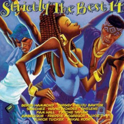 Strictly The Best Vol. 14