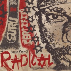 Sizzla(シズラ)– Liberate Yourself (LP One) - メルカリ