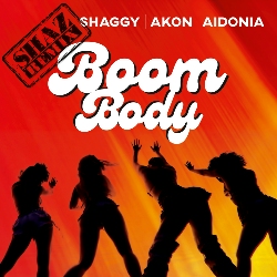 Boom Body (Shaz Remix) (feat. Akon, Aidonia)