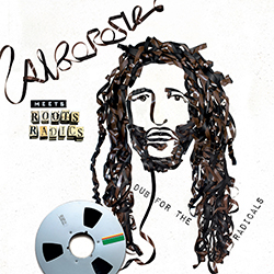 Alborosie Meets Roots Radics - Dub For The Radicals